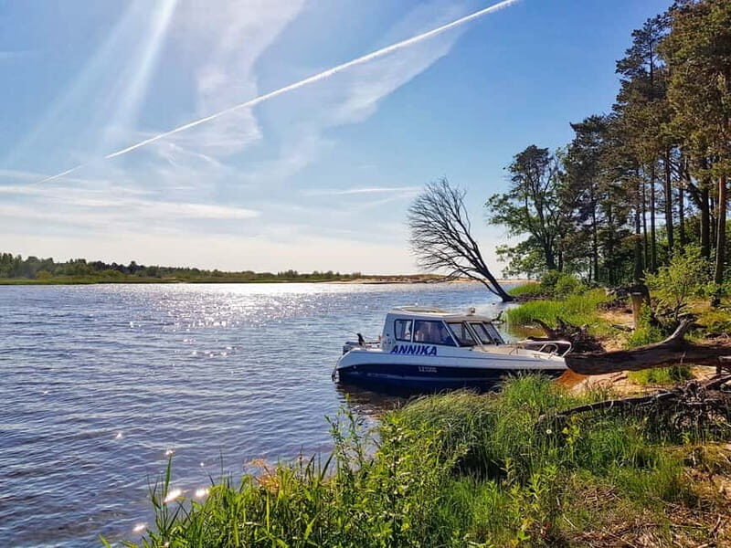 From Riga: Four Natural Ecosystems In One Hike - An In-Depth Look at the Latvian Ecosystem Hike