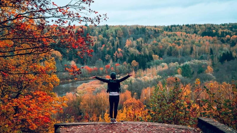 From Riga: Group Tour to Sigulda and Turaida - Key Points  