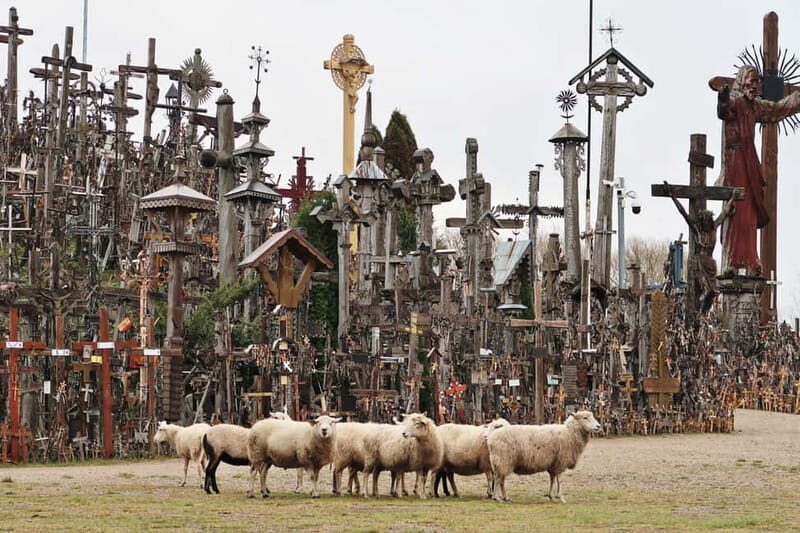 From Riga: Hill of Crosses and Jelgava Gems Tour - Who Is This Tour Best Suited For?