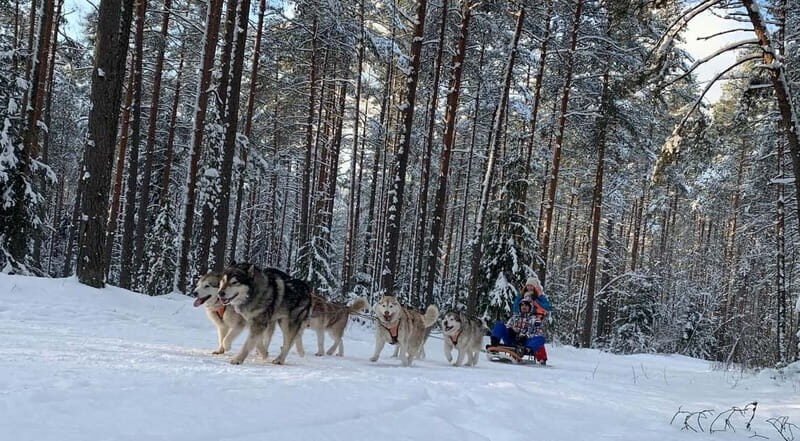 From Riga: Husky Sledding or Wheel Kart Tour - An In-Depth Look at the Husky Sledding and Wheel Kart Tour