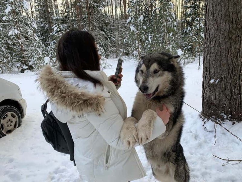 From Riga: Husky Sledding or Wheel Kart Tour - FAQ