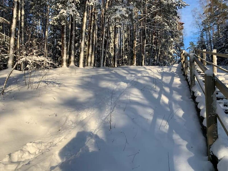 From Riga: Husky Sledding or Wheel Kart Tour - Additional Information