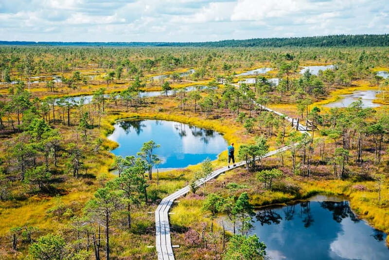 From Riga: Jurmala and Great Kemeri Private Full-Day Trip - What to Expect from This Tour