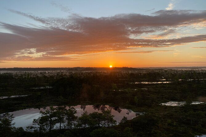 From Riga: Kemeri Bog Boardwalk and Jurmala Seaside - Key Points