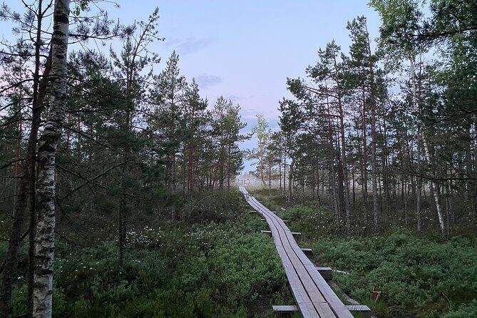 From Riga: Kemeri Bog Boardwalk and Jurmala Seaside - The Itinerary in Detail