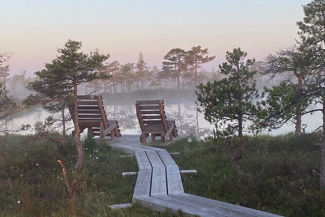 From Riga: Kemeri Bog Boardwalk and Jurmala Seaside - The Bottom Line
