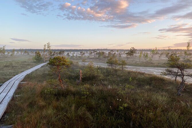 From Riga: Kemeri Bog Boardwalk and Jurmala Seaside - FAQ