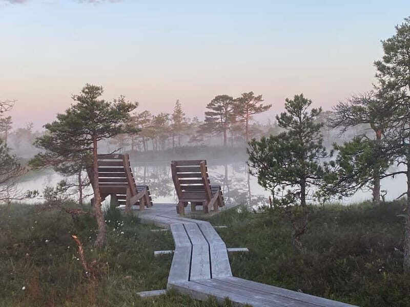 From Riga: Kemeri Bog & Seaside Jurmala - The Sum Up: Is It Worth It?