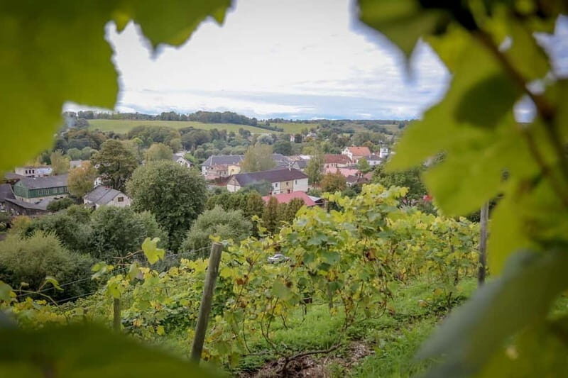 From Riga: Kuldiga UNESCO, Waterfall & Wine Day Trip - What Makes This Tour Stand Out?