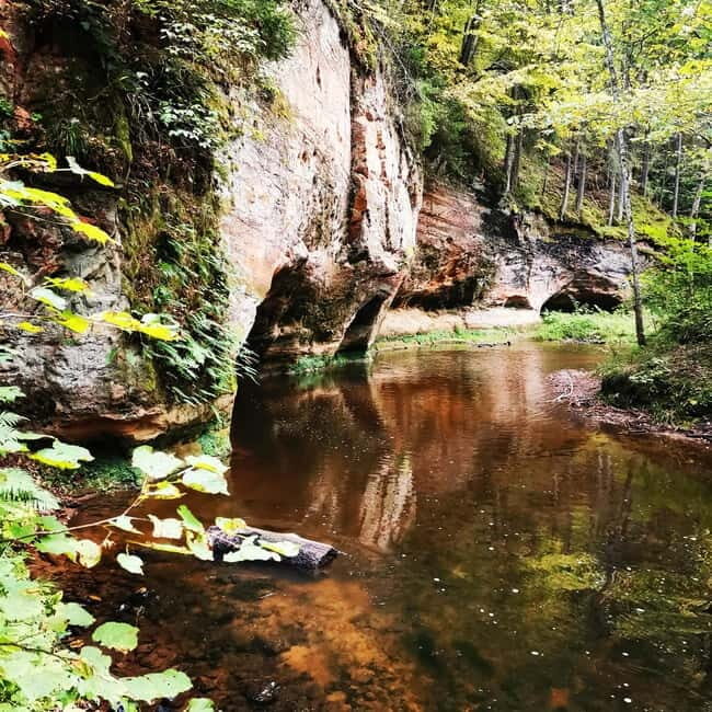 From Riga: Ligatne Village and Gauja River National Park - Pricing and Value