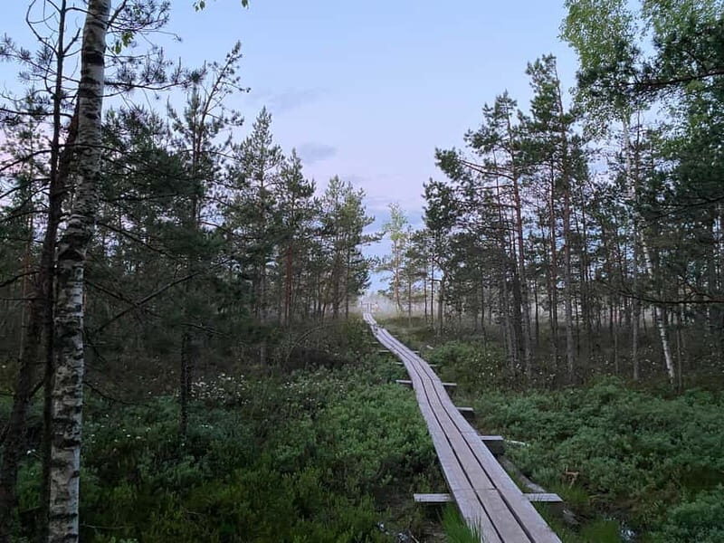 From Riga: Trip to Kemeri National Park & Jurmala - Key Points