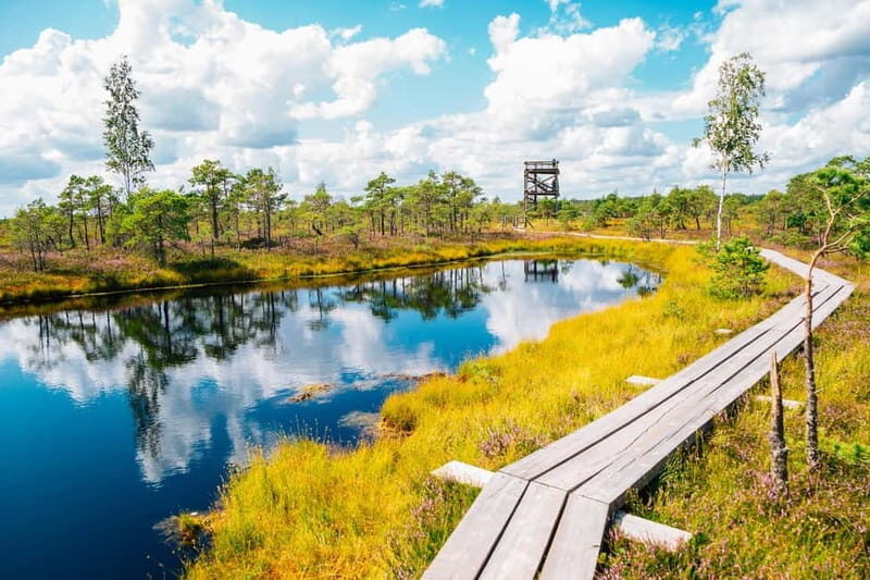 From Riga: Trip to Kemeri National Park & Jurmala - What We Learned from Reviews and Personal Insights