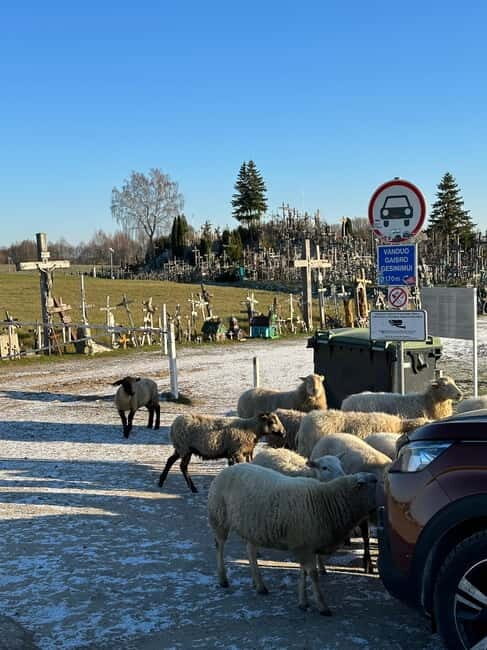 From Riga: Trip to the Hill of Crosses and Pearls of Jelgava - Who Would Love This Tour?