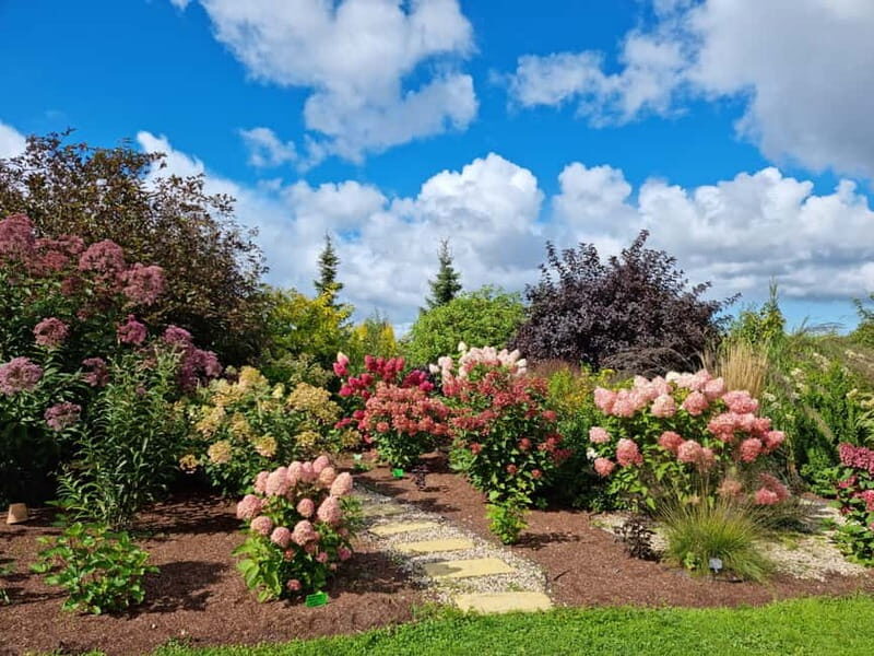 From Riga: Vidzeme Coast Half-Day Trip with Lunch - Key Points: