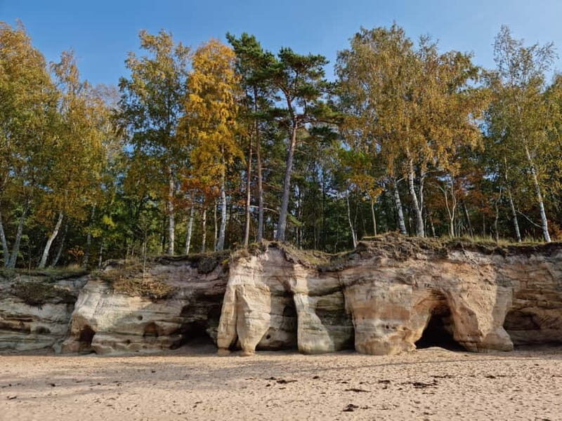 From Riga: Vidzeme Coast Half-Day Trip with Lunch - Exploring the Vidzeme Coast: What You Can Expect