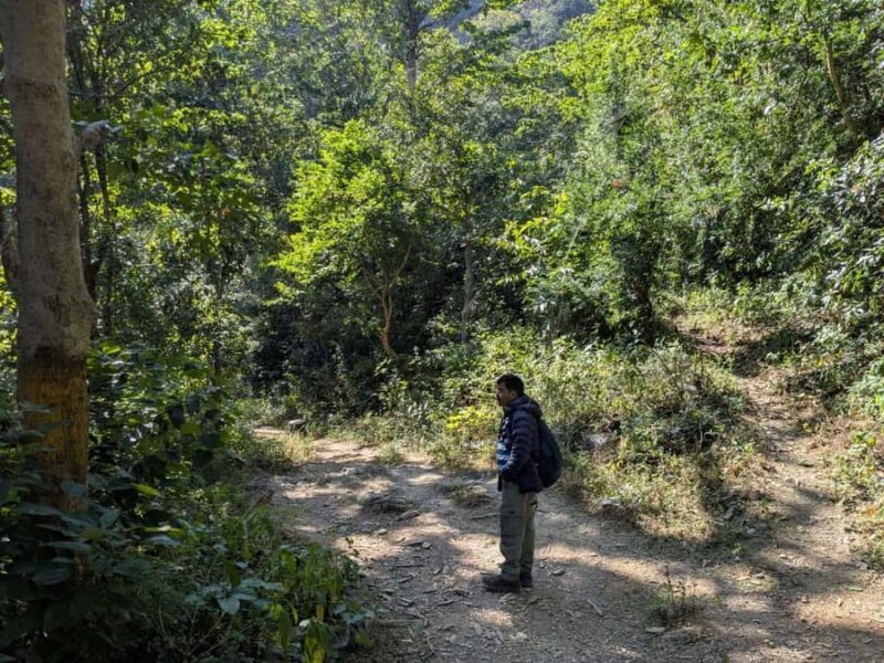 From Rishikesh: Offbeat Day Hike and Vashishta Cave Visit - Key Points