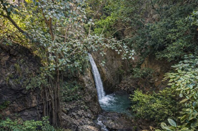 From Rishikesh: Offbeat Day Hike and Vashishta Cave Visit - Who Will Love This Tour?