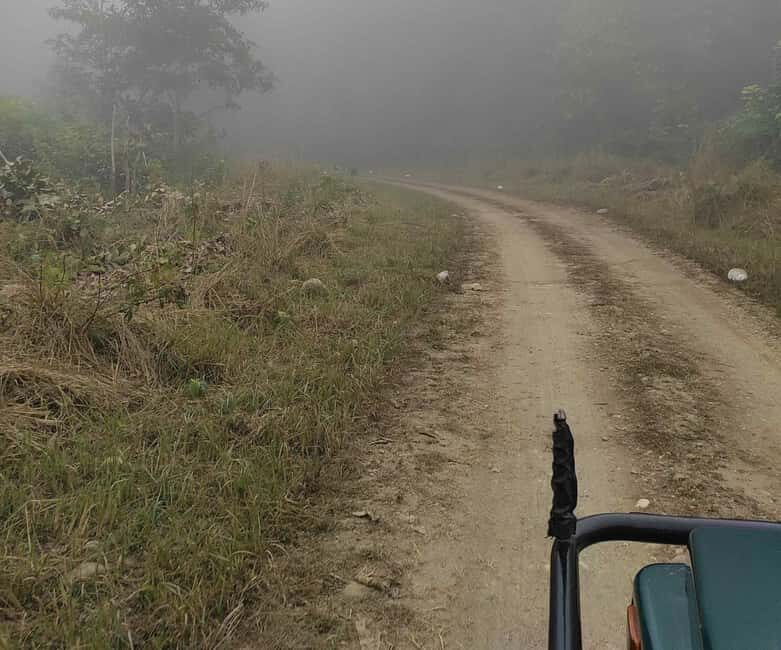 From Rishikesh: Rajaji National Park Half-Day Tour - FAQs