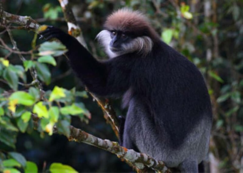 From Riu Hotel: Udawalawe National Park Private Day Trip - What Makes This Tour Stand Out?