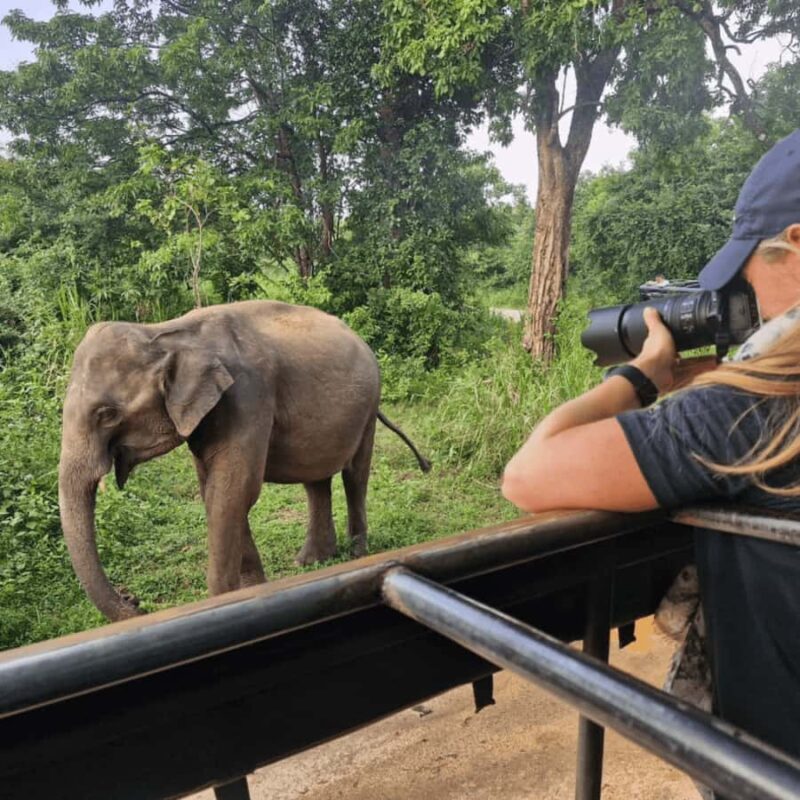 From Riu Hotel: Udawalawe National Park Private Day Trip - Practicalities and Considerations