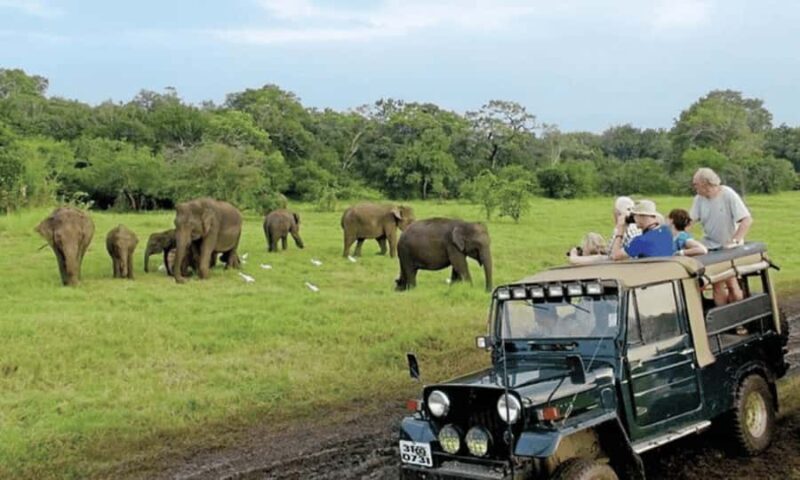 From Riu Hotel: Udawalawe National Park Private Day Trip - Final Thoughts: Is It Worth It?