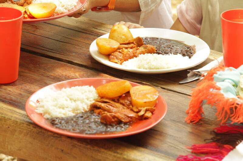 From Riviera Maya: Coba, Punta Laguna & Cenote Guided Trip - Who Would Love This Tour?