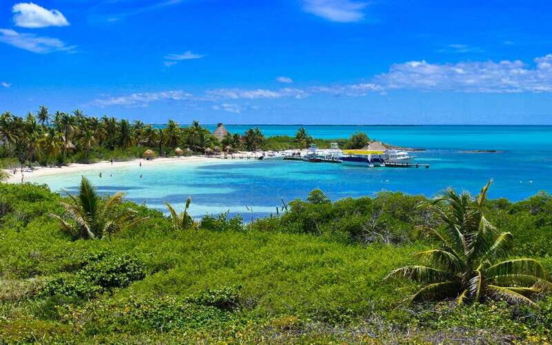 From Riviera Maya: Day Tour to Contoy and Isla Mujeres - An Overview of the Experience