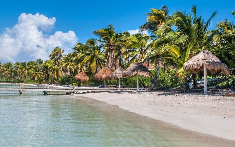From Riviera Maya: Day Tour to Contoy and Isla Mujeres - Exploring Isla Contoy: Nature’s Sanctuary