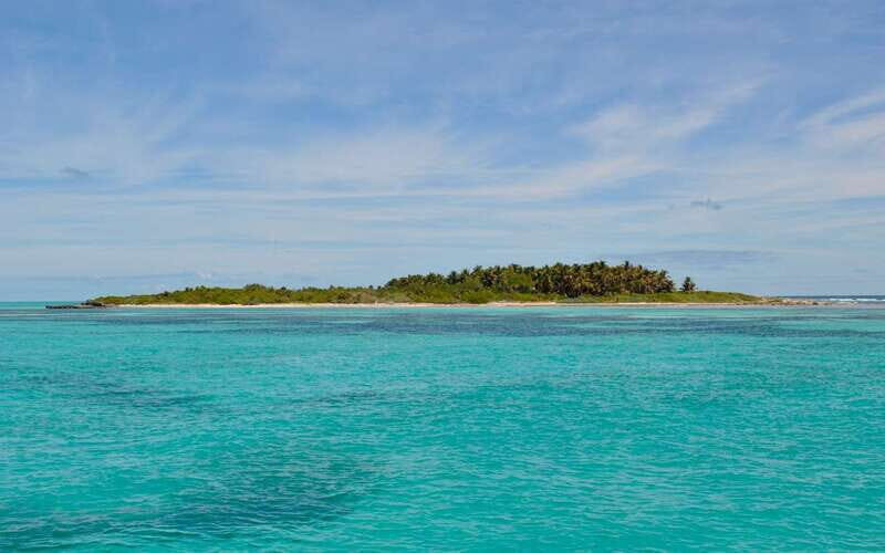 From Riviera Maya: Day Tour to Contoy and Isla Mujeres - Isla Mujeres: The Vibrant Final Stop
