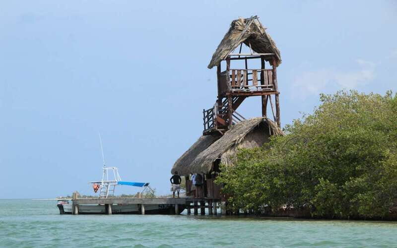 From Riviera Maya: Holbox Island Discovery Tour - Final Thoughts