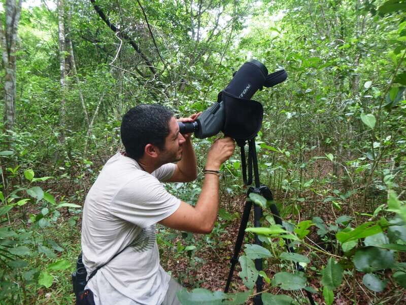 From Riviera Maya : Sian Ka'an Muyil Birdwatching with Guide - An In-Depth Look at the Tour Experience