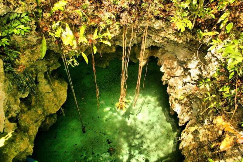 From Riviera Maya: Snorkeling & Private Cenote Half-Day Tour - The Practicalities: What Makes This Tour Work