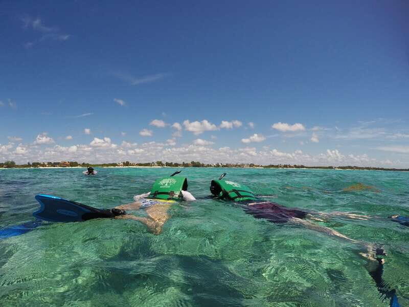 From Riviera Maya: Snorkeling & Private Cenote Half-Day Tour - Who Will Love This Tour?