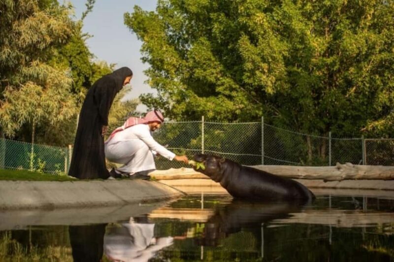 From Riyadh: Nofa Wildlife Park Private Day Trip - Exploring the Resort and Additional Attractions