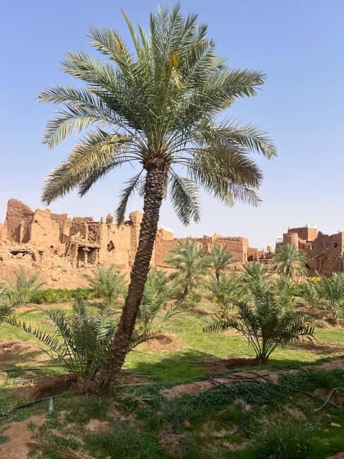 From Riyadh: Ushaiqer Heritage Village Day Trip - Key Points