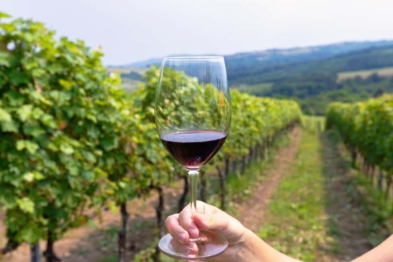 From Roma: Montepulciano and Montalcino, on the Wine Routes - Exploring Montepulciano