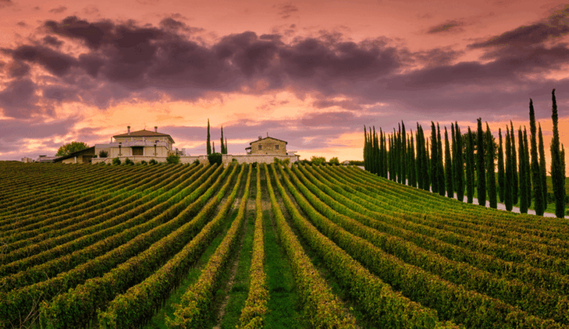from-roma-montepulciano-and-montalcino-on-the-wine-routes