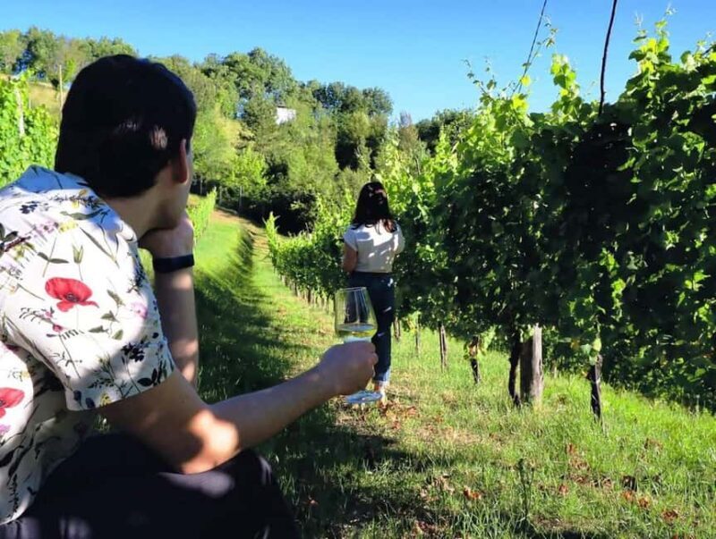 From Rome: Cantina Le Macchie Winery Tour and Tasting - Key Points