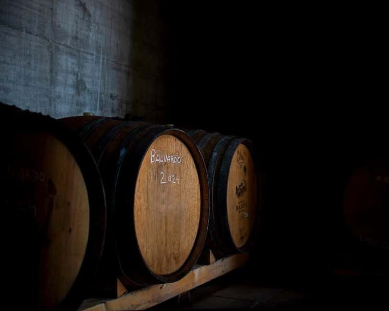 From Rome: Cantina Le Macchie Winery Tour and Tasting - Exploring Lazio’s Wine Heritage in a Historic Setting