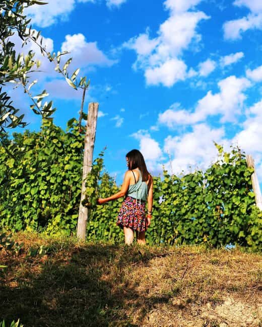 From Rome: Cantina Le Macchie Winery Tour and Tasting - The Experience for Different Types of Travelers
