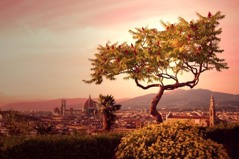 from-rome-day-trip-to-florence-by-high-speed-train