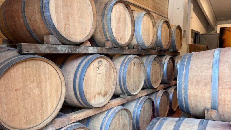 from-rome-florence-tuscany-day-tour-by-high-speed-train