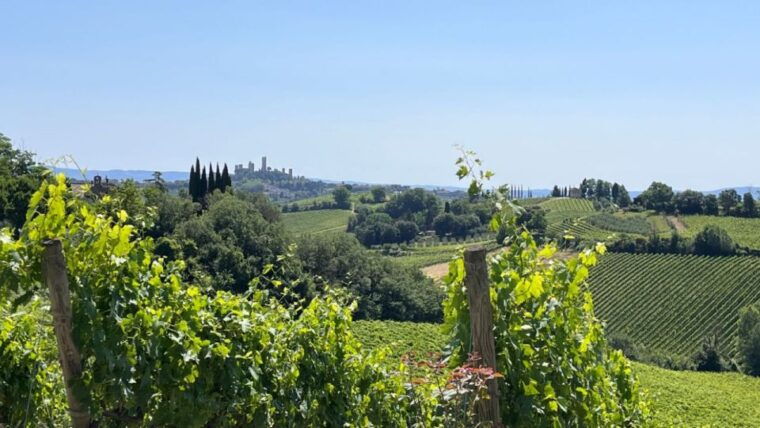 from-rome-florence-tuscany-day-tour-by-high-speed-train