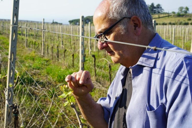 from-rome-frascati-wine-region-tour-with-wine-tasting