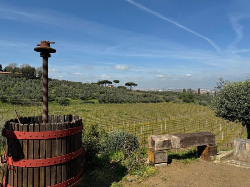 from-rome-frascati-wine-tour-with-lunch-and-vineyard-tour
