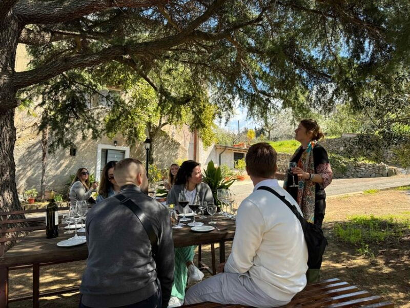 from-rome-frascati-wine-tour-with-lunch-and-vineyard-tour