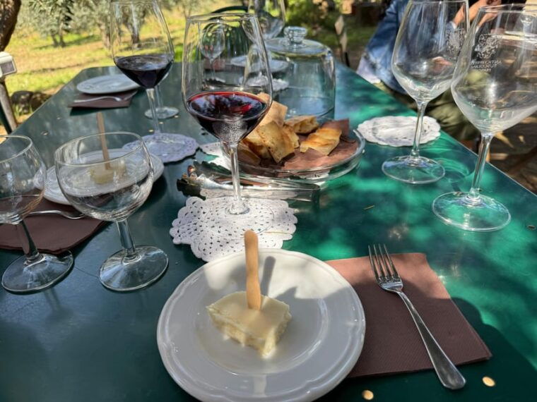 from-rome-frascati-wine-tour-with-lunch-and-vineyard-tour