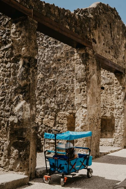 from-rome-one-day-trip-to-pompeii-ruins-w-high-speed-train