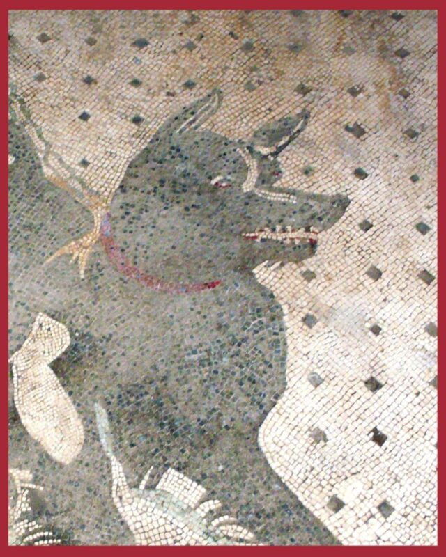 from-rome-one-day-visit-to-pompeii-with-ticket-included