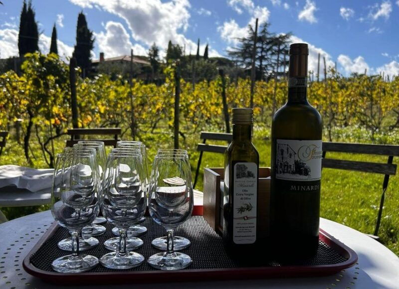 from-rome-pasta-masterclass-wine-tour-in-the-vineyard